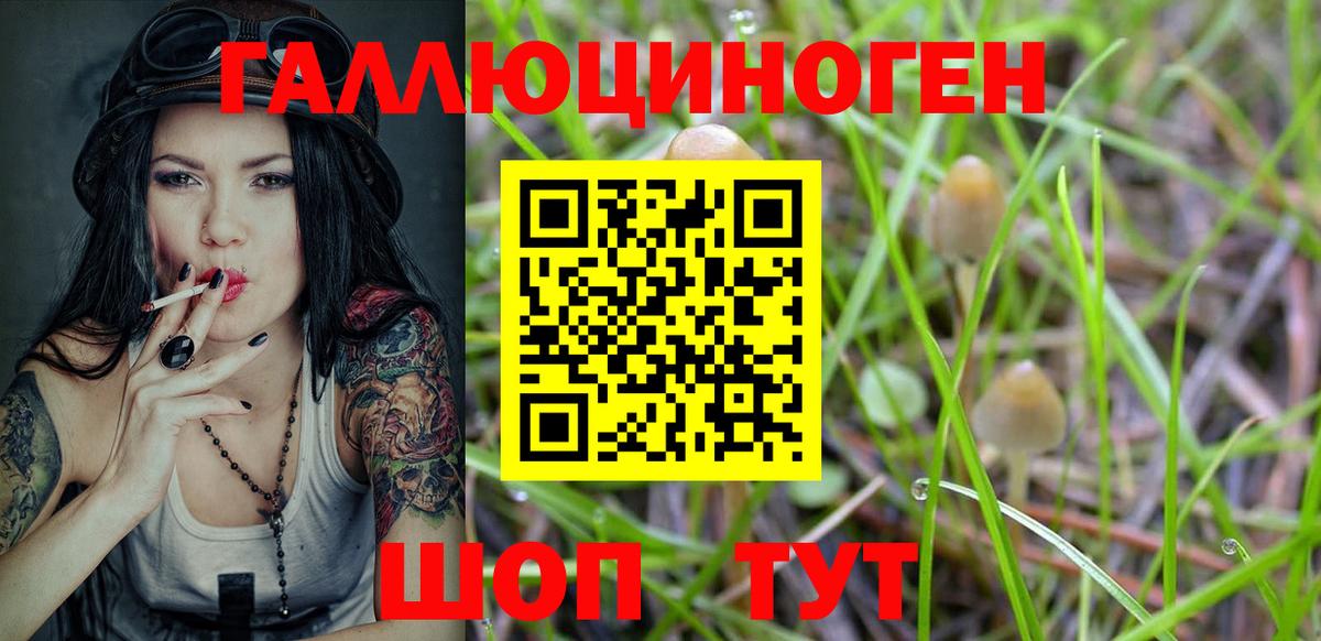 Галлюциногенные грибы Cubensis Артёмовский